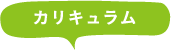 カリキュラム